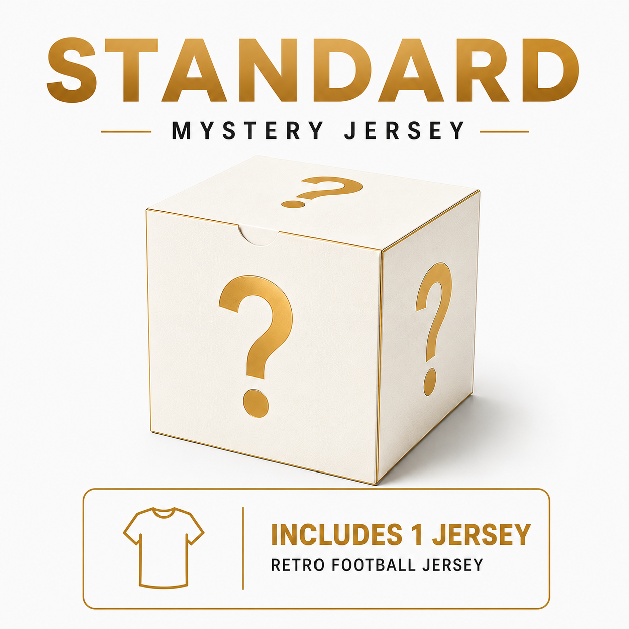 STANDARD MYSTERY JERSEY