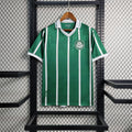 Palmeiras Retro